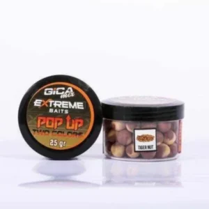 tiger nut pop up