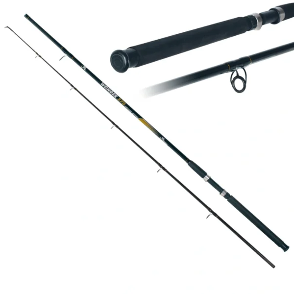 Štap Fil Fishing Wonder 2,7m 50-100g ribolovački štap za dubinku sa EVA rukohvatom i SiC sprovodnicima