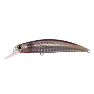 Vobler Spearhead Ryuki 80S SW DUO potapajući minnow za morski ribolov.