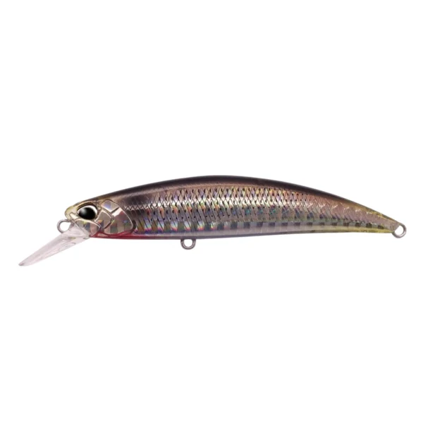 Vobler Spearhead Ryuki 80S SW DUO potapajući minnow za morski ribolov.