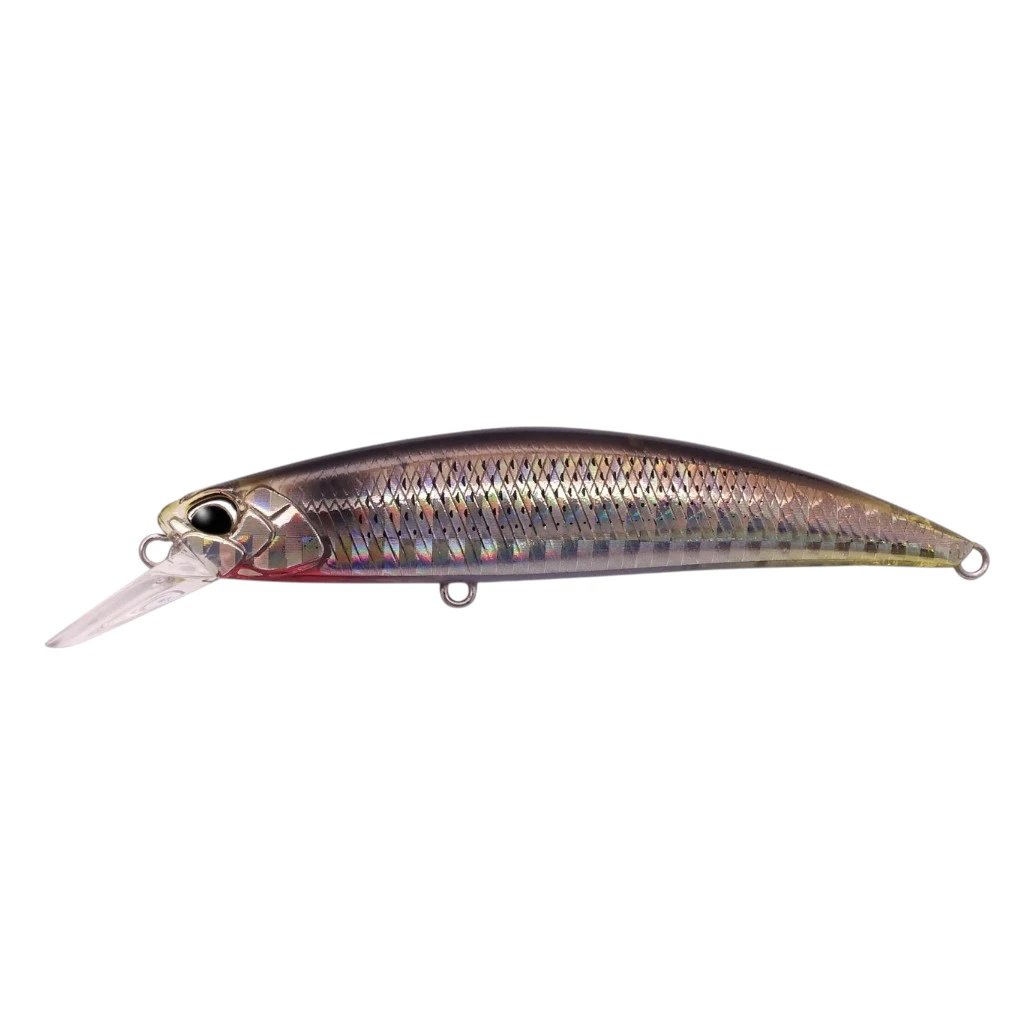 Vobler Spearhead Ryuki 80S SW DUO potapajući minnow za morski ribolov.